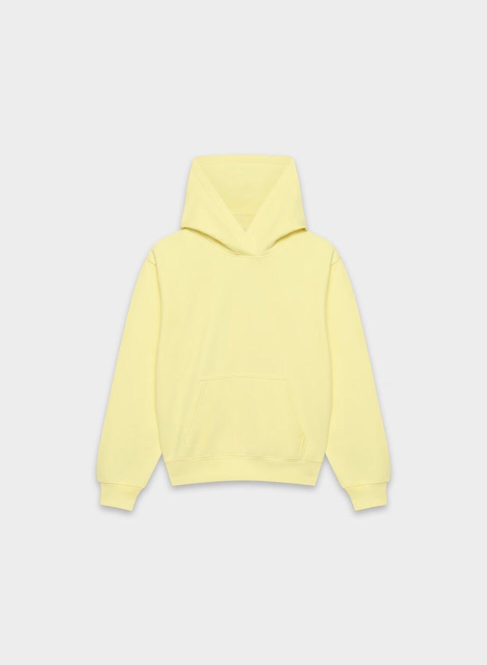 Aritzia Cozy Sweatfleece Perfect Hoodie Sweater - M